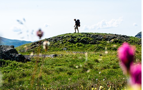 Things To Do https://telluridelodging.icnd-cdn.com/images/thingstodo/Hiking.jpg